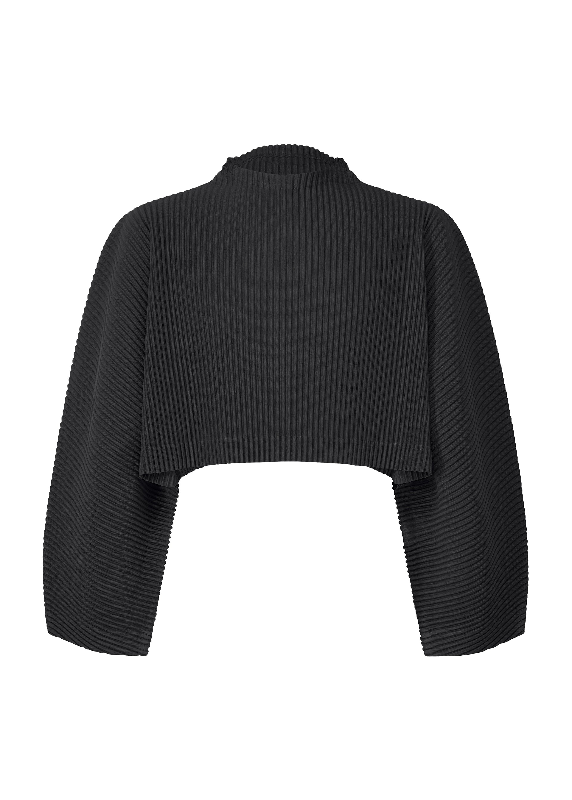 COLOR PLEATS 1 Top Black – The official ISSEY MIYAKE ONLINE STORE