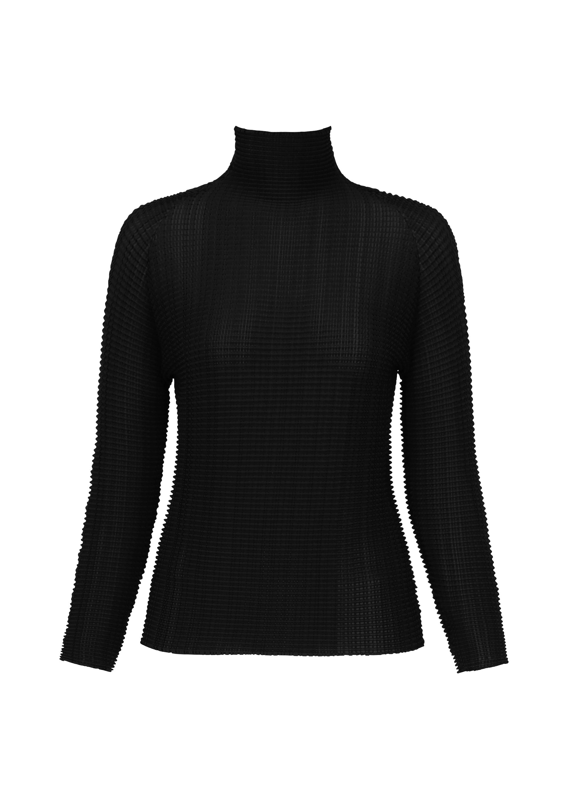 WOOLY PLEATS BK/WT-46 Top Black - Main Image