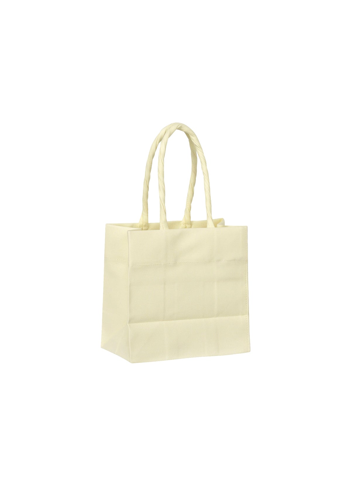 A detail shot of the ISSEY MIYAKE PAPER BAG bag.