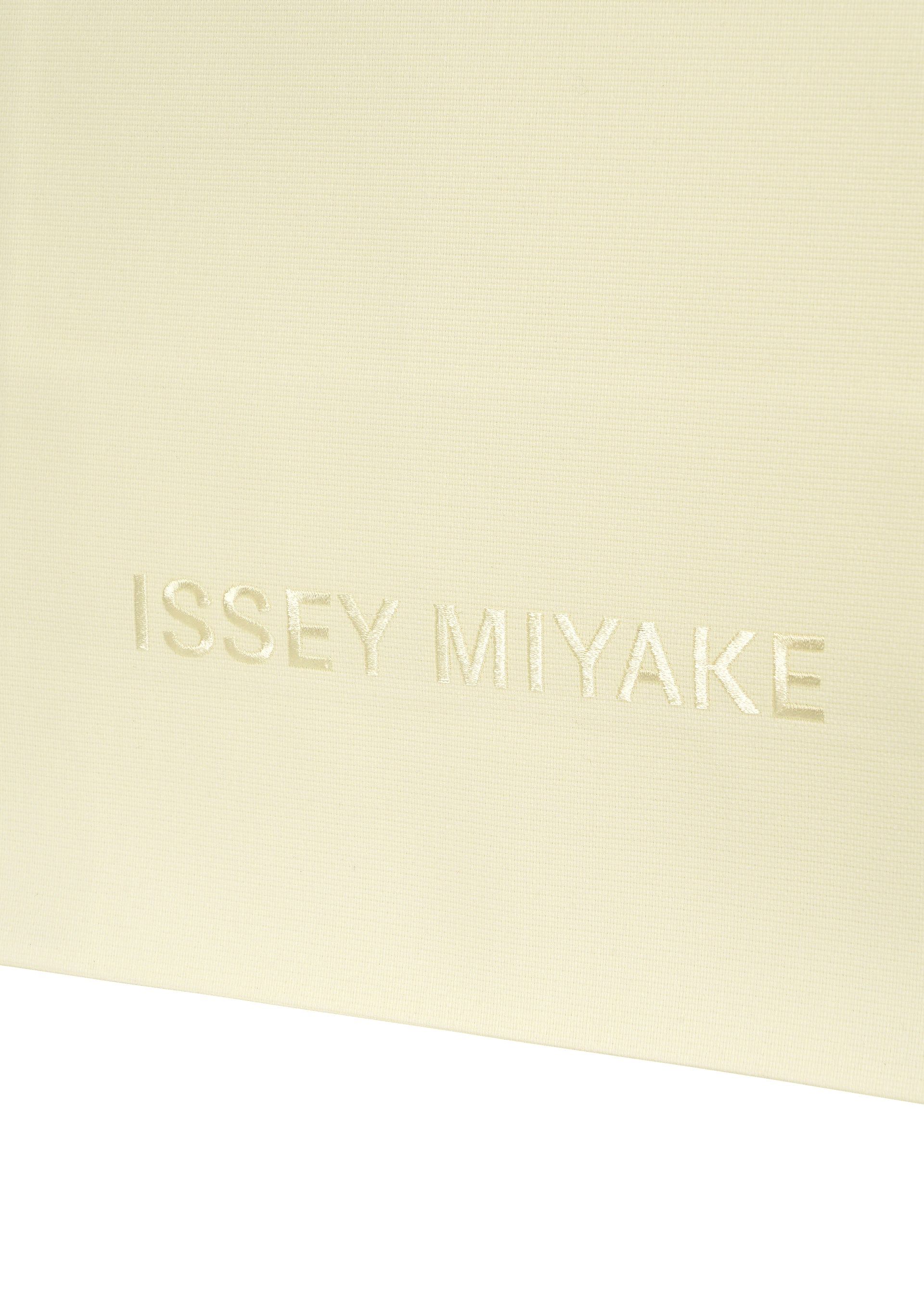 A detail shot of the ISSEY MIYAKE PAPER BAG bag.