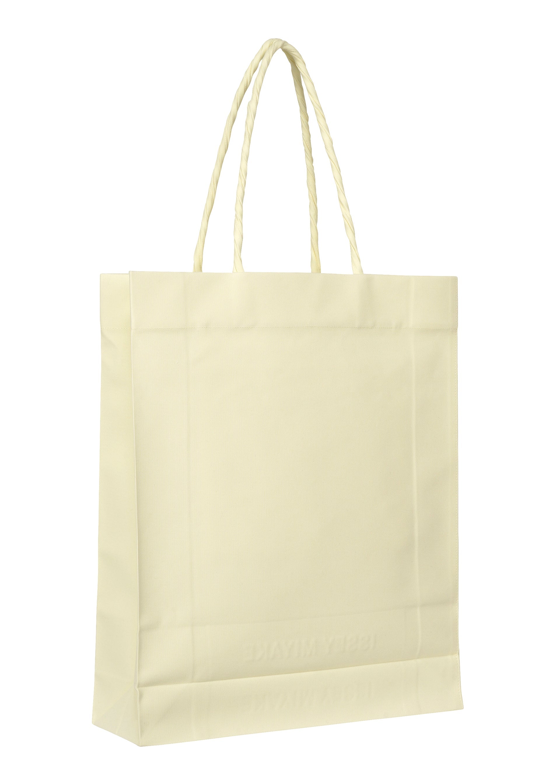 A detail shot of the ISSEY MIYAKE PAPER BAG bag.