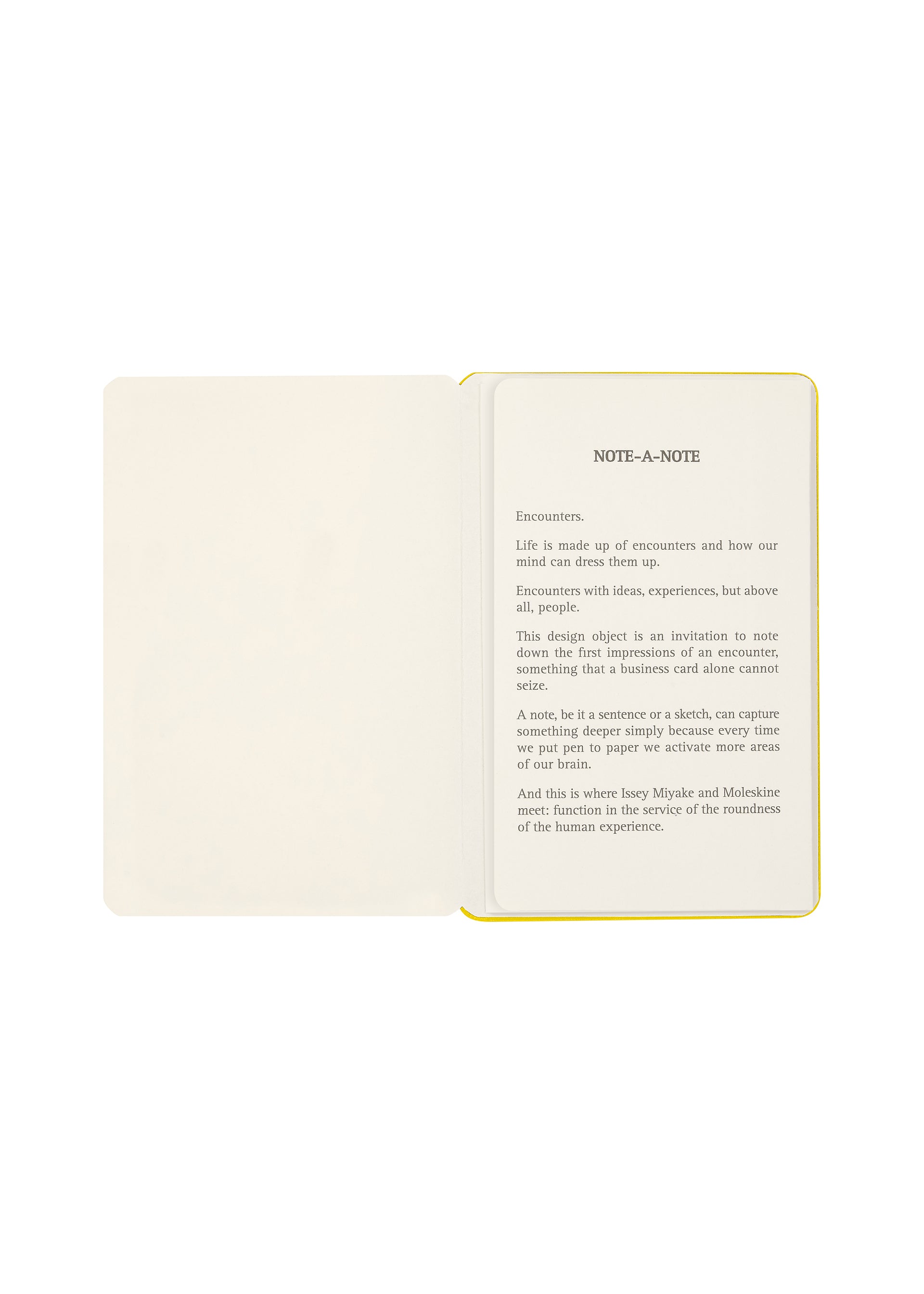 NOTE-A-NOTE Card Holder Dandelion Yellow