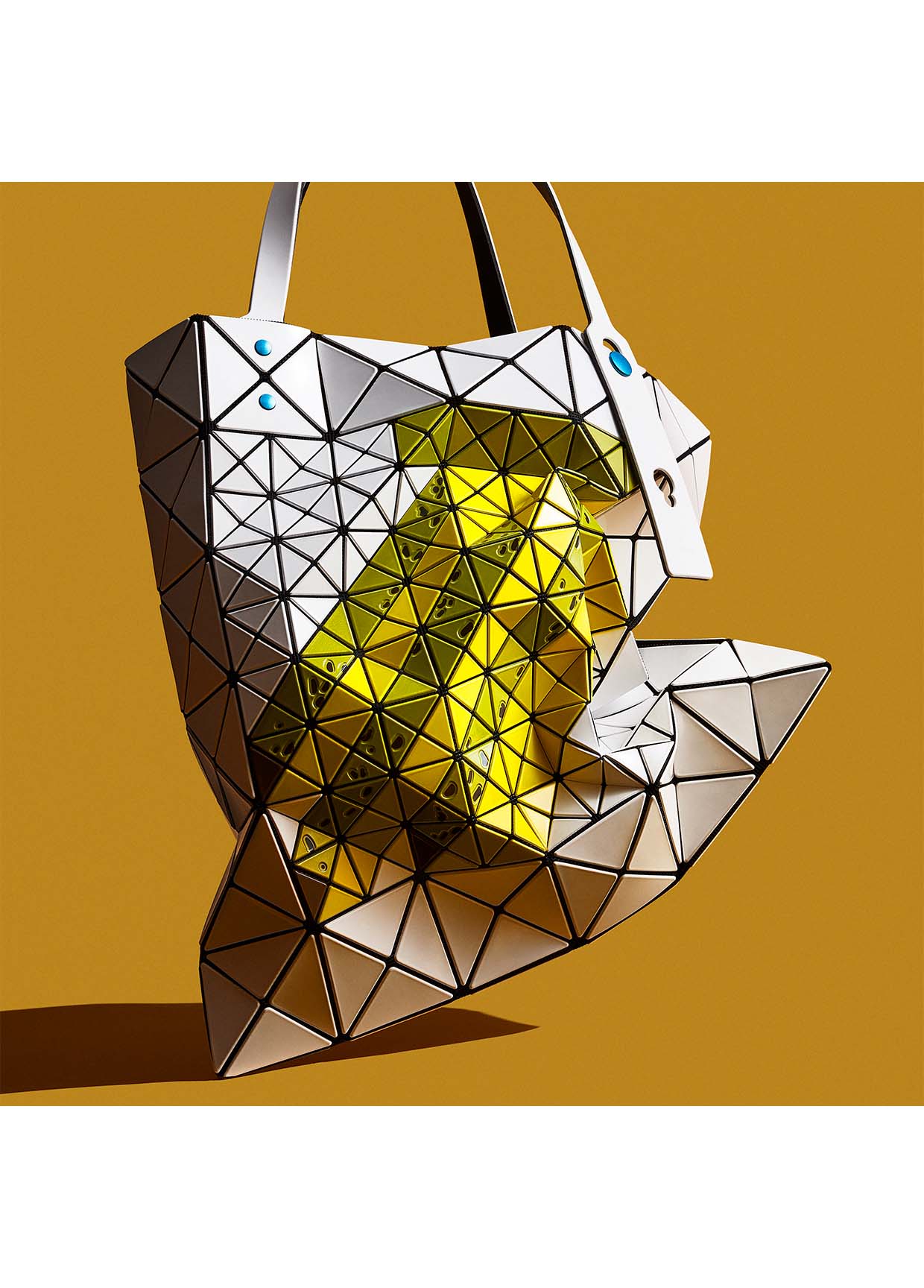 BAO BAO ISSEY MIYAKE LOOK 21