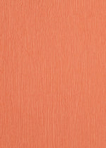 A detail shot of the HAAT KYO CHIJIMI MAY dress.