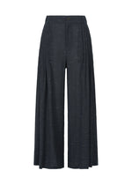 A product shot of the HAAT PINTUCKING trousers in charcoal (14).