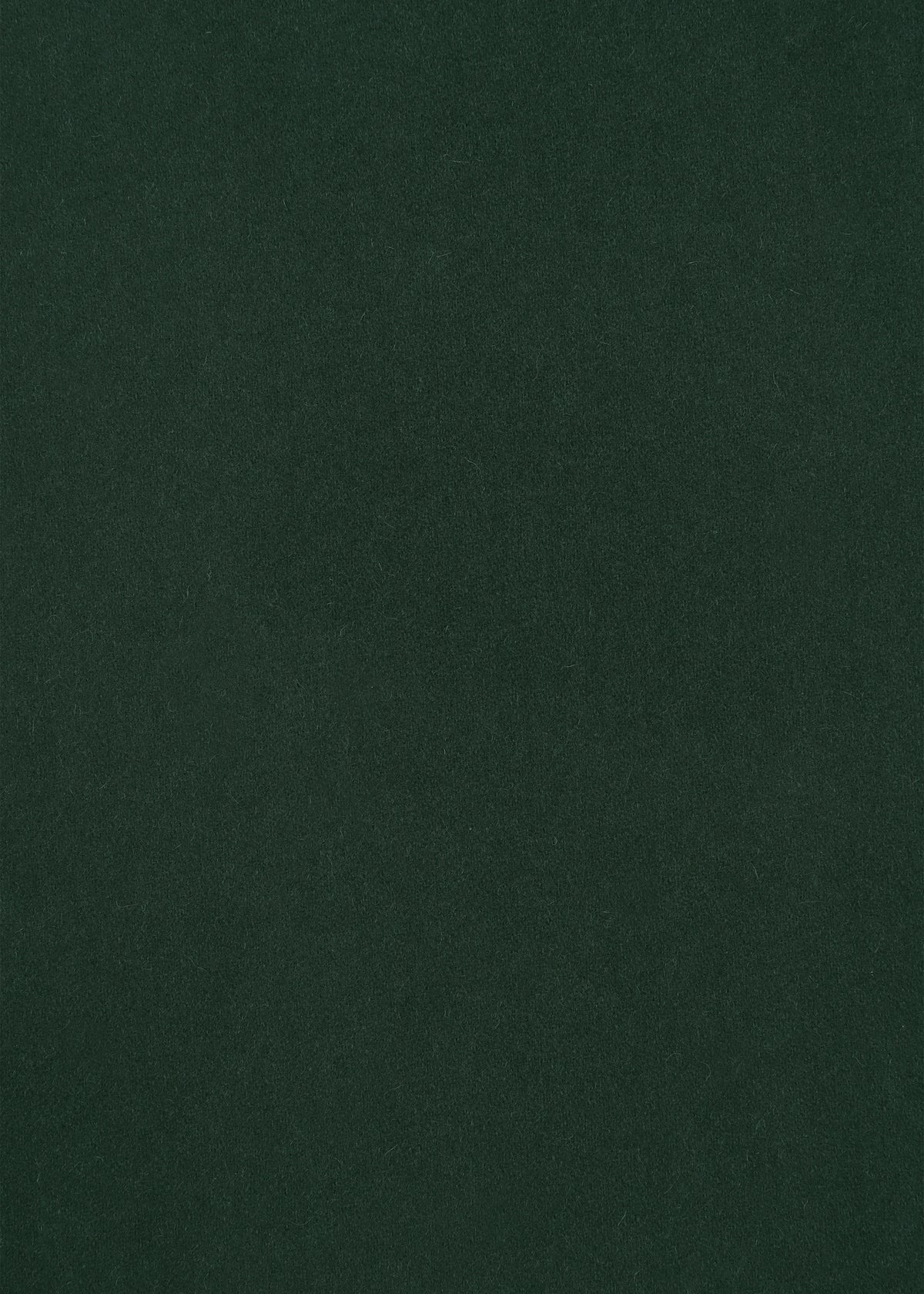 MILLED FLANNEL Trousers Brown