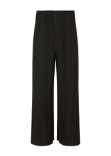 PLEATS BOTTOMS 2 Trousers Black