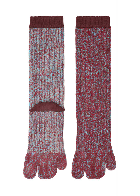 RB_DRAWING SOCKS Socks Wine Red