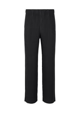 TAILORED PLEATS 2 Trousers Black