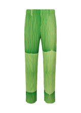 RB_ALL OVER PLEATS Trousers Green