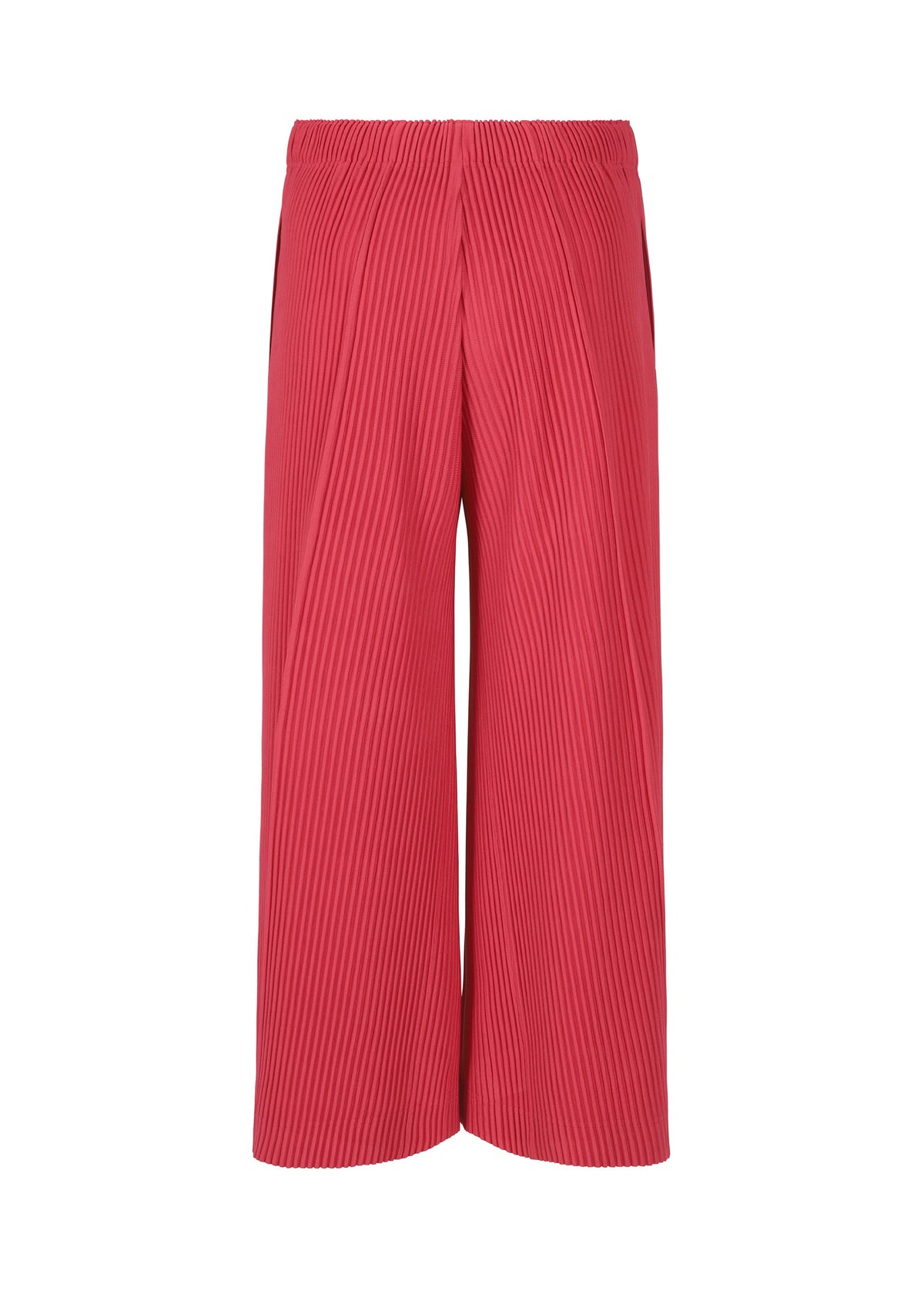 A detail shot of the HOMME PLISSÉ ISSEY MIYAKE PLEATS BOTTOMS 2 clothing.