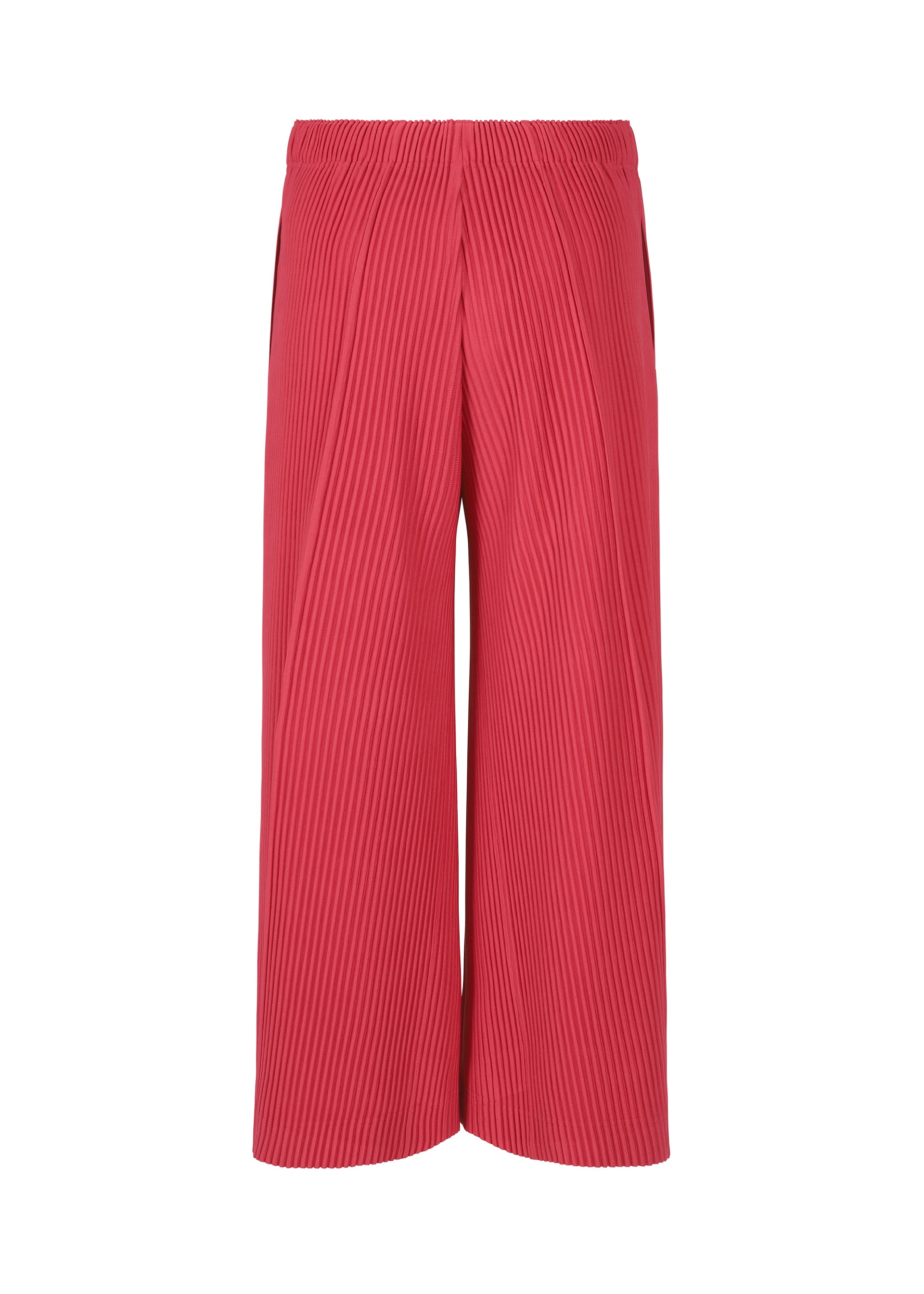 A detail shot of the HOMME PLISSÉ ISSEY MIYAKE PLEATS BOTTOMS 2 clothing.