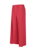 A detail shot of the HOMME PLISSÉ ISSEY MIYAKE PLEATS BOTTOMS 2 clothing.