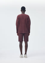 A model wears the HOMME PLISSÉ ISSEY MIYAKE COLOR PLEATS trousers.