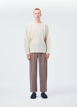A model wears the HOMME PLISSÉ ISSEY MIYAKE MONTHLY COLORS SEPTEMBER top.