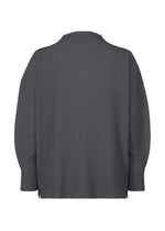 A detail shot of the HOMME PLISSÉ ISSEY MIYAKE MONTHLY COLORS DECEMBER clothing.