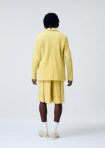 A model wears the HOMME PLISSÉ ISSEY MIYAKE TAILORED PLEATS 2 jacket.