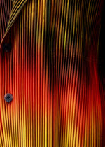 A model wears the HOMME PLISSÉ ISSEY MIYAKE PAINT BRUSH CLOSE UP jacket.