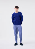 A model wears the HOMME PLISSÉ ISSEY MIYAKE MONTHLY COLORS FEBRUARY trousers.