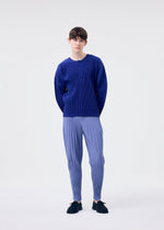 A model wears the HOMME PLISSÉ ISSEY MIYAKE MONTHLY COLORS FEBRUARY trousers.