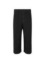 A product shot of the HOMME PLISSÉ ISSEY MIYAKE MONTHLY COLORS MAY trousers in black (15).
