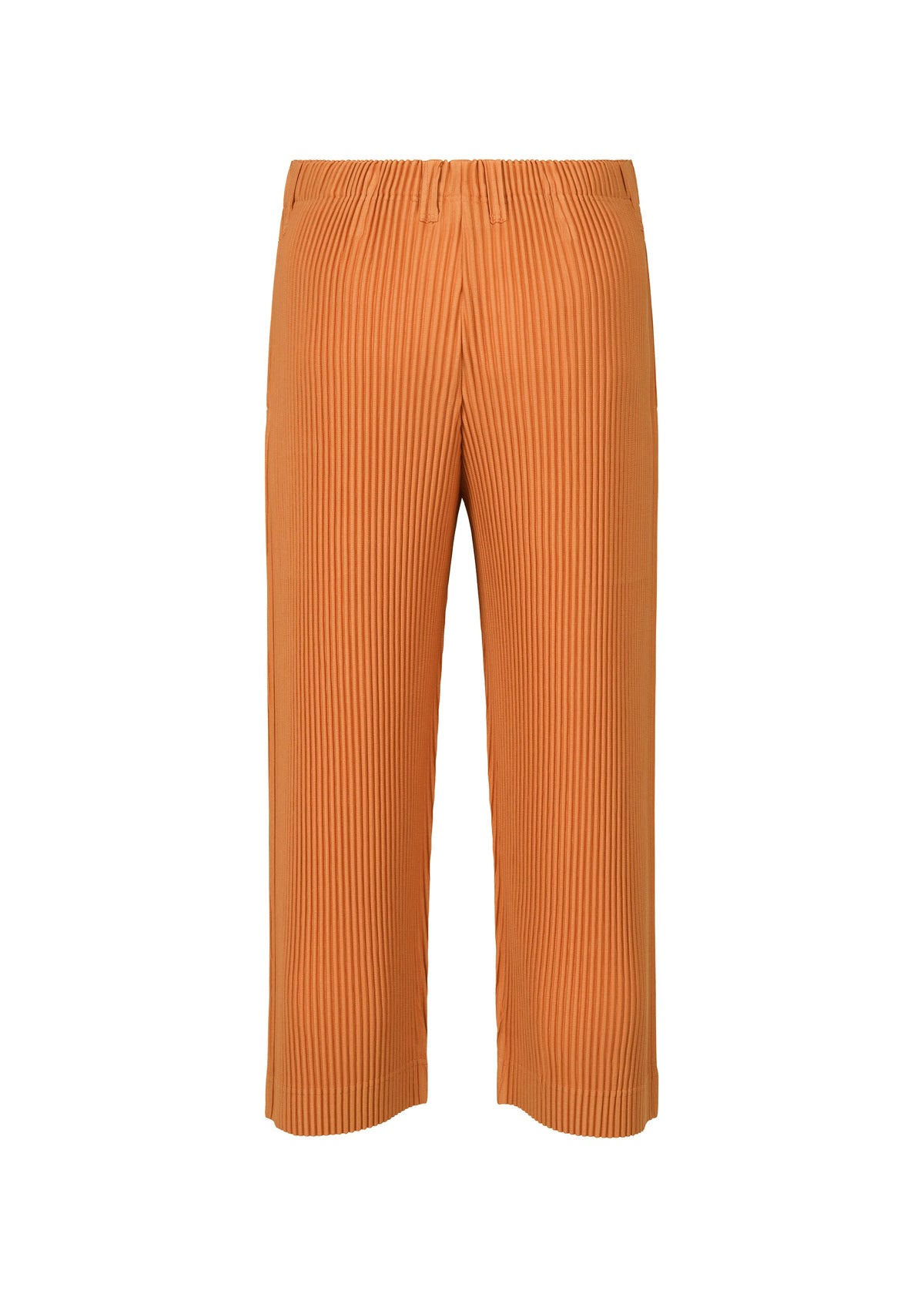 A detail shot of the HOMME PLISSÉ ISSEY MIYAKE TAILORED PLEATS 2 trousers.
