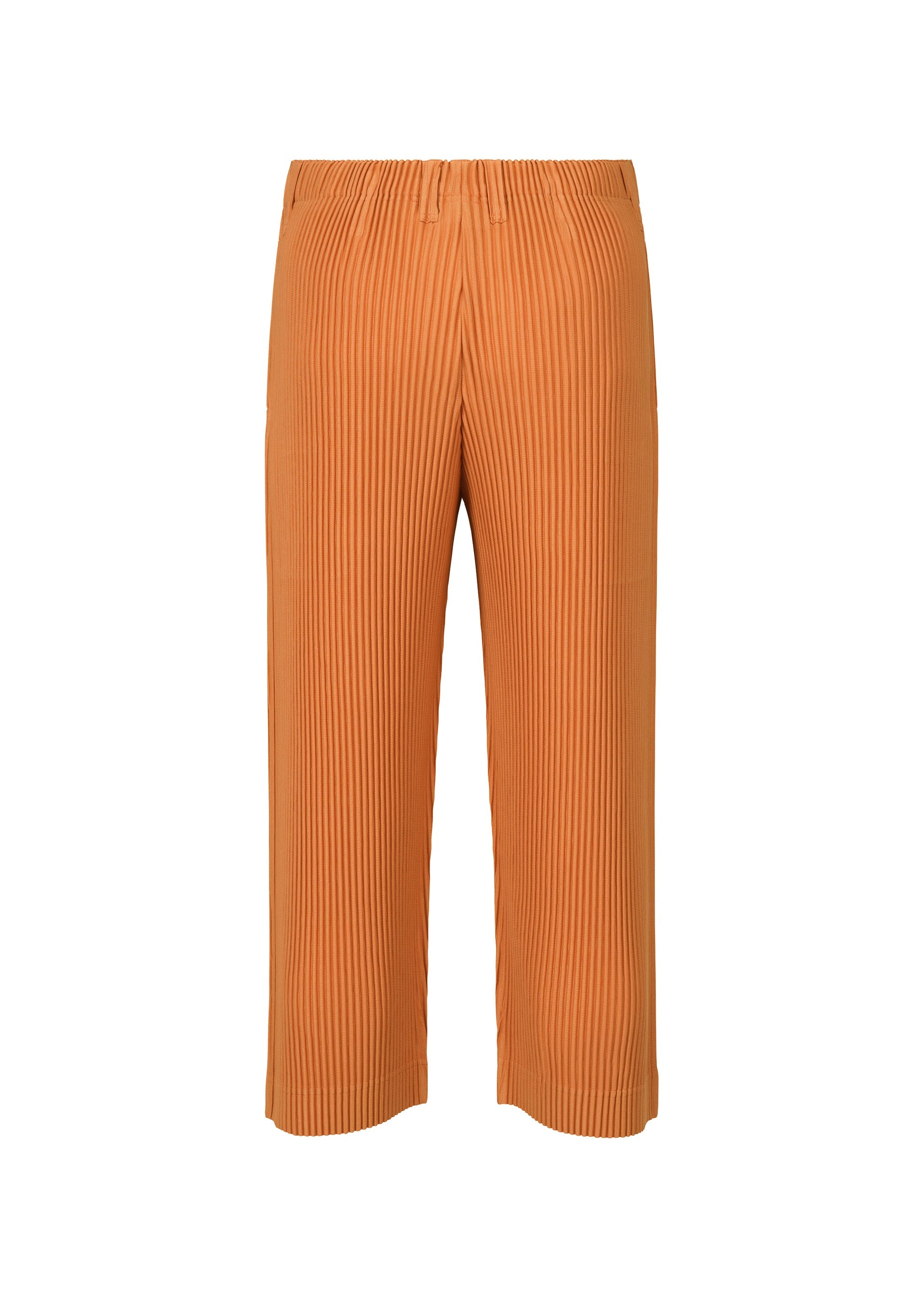 A detail shot of the HOMME PLISSÉ ISSEY MIYAKE TAILORED PLEATS 2 trousers.