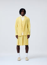 A model wears the HOMME PLISSÉ ISSEY MIYAKE TAILORED PLEATS 2 trousers.