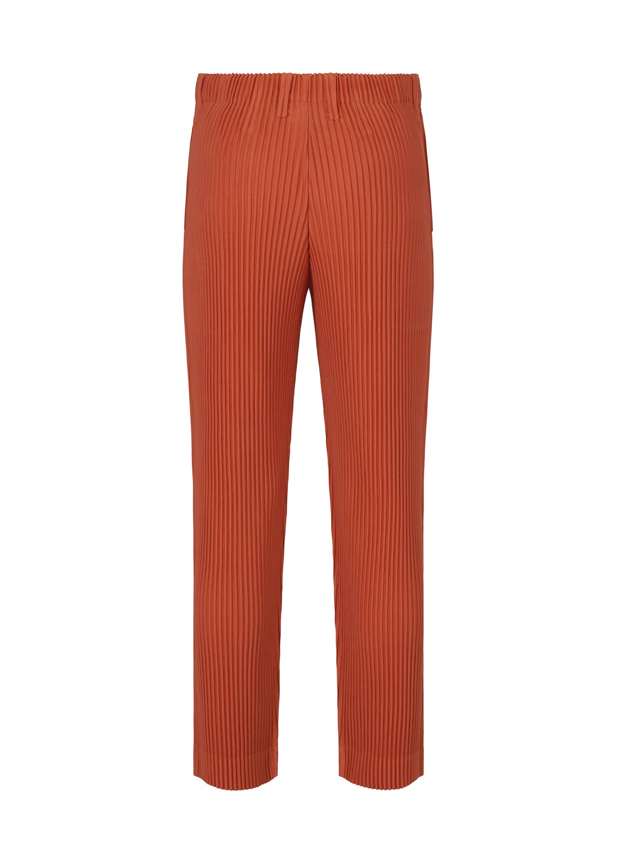 A detail shot of the HOMME PLISSÉ ISSEY MIYAKE TAILORED PLEATS 3 trousers.