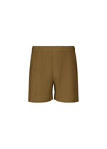 A product shot of the HOMME PLISSÉ ISSEY MIYAKE COLORFUL PLEATS BOTTOMS trousers in ct rock green.