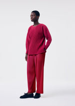 A model wears the HOMME PLISSÉ ISSEY MIYAKE MONTHLY COLORS JANUARY clothing.
