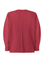 A detail shot of the HOMME PLISSÉ ISSEY MIYAKE MONTHLY COLORS JANUARY clothing.