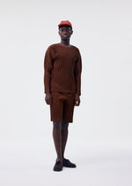 A model wears the HOMME PLISSÉ ISSEY MIYAKE COLOR PLEATS 2 top.