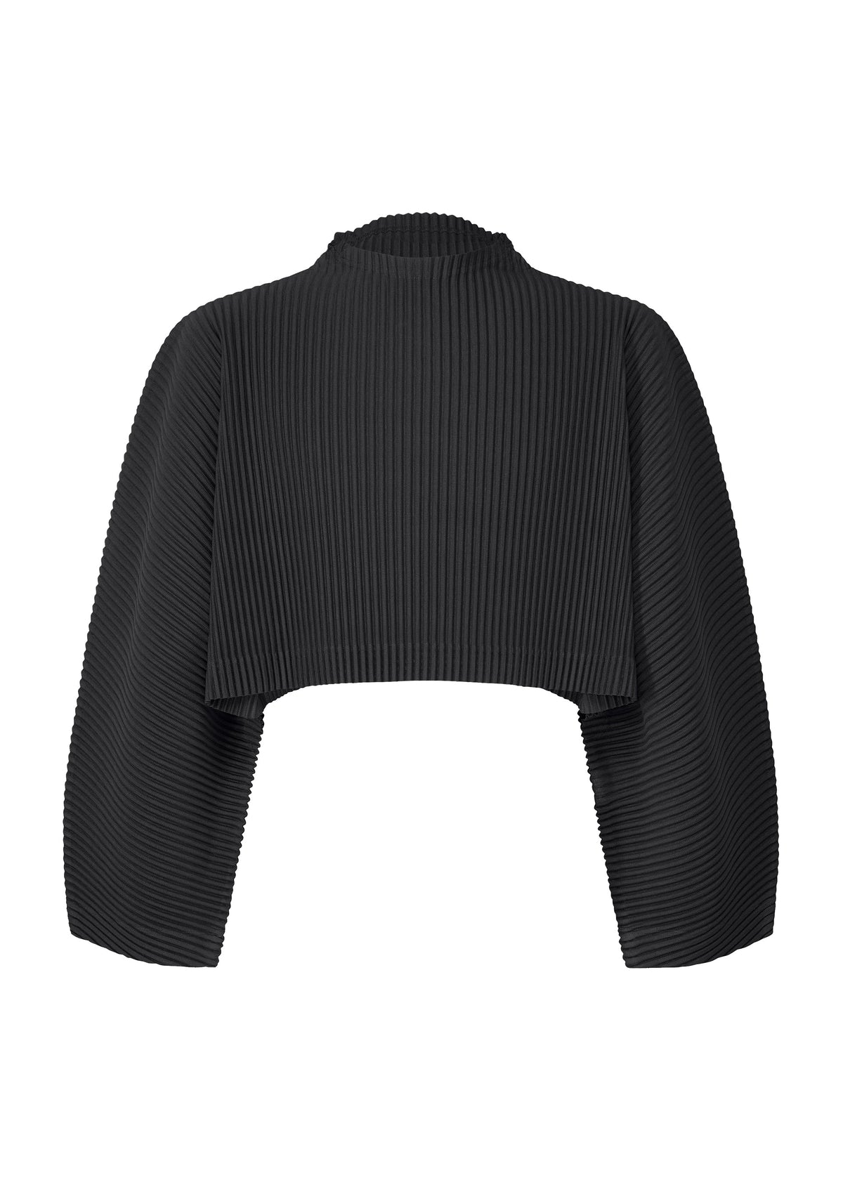 A product shot of the HOMME PLISSÉ ISSEY MIYAKE COLOR PLEATS 1 clothing in black (15).