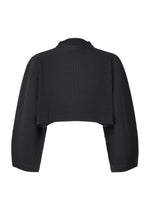 A product shot of the HOMME PLISSÉ ISSEY MIYAKE COLOR PLEATS 1 clothing in black (15).