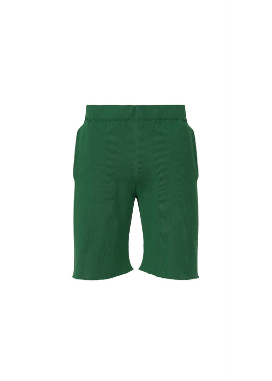 A product shot of the HOMME PLISSÉ ISSEY MIYAKE BASIC KNIT clothing in green (62).