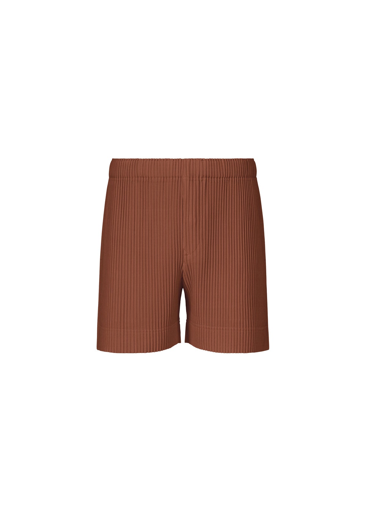 A product shot of the HOMME PLISSÉ ISSEY MIYAKE COLOR PLEATS 1 shorts in darkside brown.