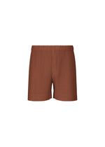 A product shot of the HOMME PLISSÉ ISSEY MIYAKE COLOR PLEATS 1 shorts in darkside brown.