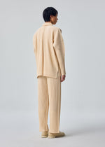A model wears the HOMME PLISSÉ ISSEY MIYAKE MONTHLY COLORS : OCTOBER monthly-colors-october-long-sleeved-shirt-black.