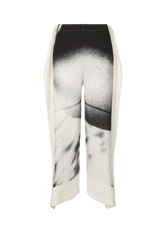 A product shot of the ISSEY MIYAKE SHADOW STUDY PLEATS trousers in .