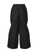 A product shot of the ISSEY MIYAKE FLOW trousers in black (15).