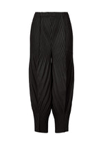 A product shot of the ISSEY MIYAKE LINEN LIKE PLEATS trousers in black (15).