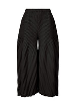 A product shot of the ISSEY MIYAKE LINEN LIKE PLEATS trousers in black (15).