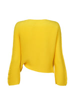 A detail shot of the ISSEY MIYAKE SHIFTED MISTY PLEATS clothing.