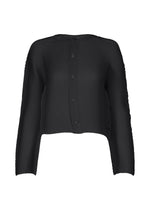 A product shot of the ISSEY MIYAKE SHIFTED MISTY PLEATS clothing in black (15).
