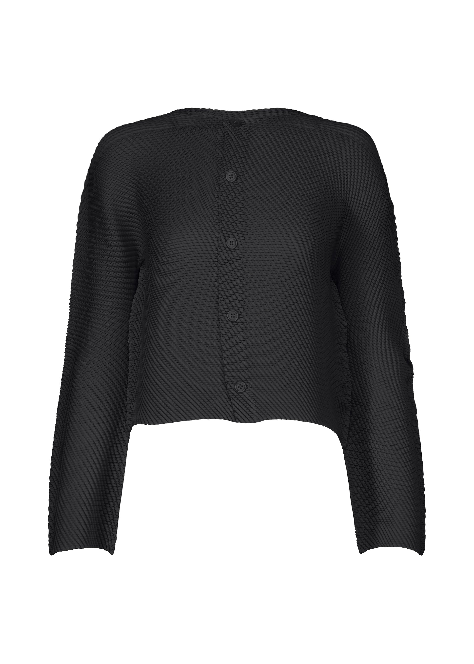 A product shot of the ISSEY MIYAKE SHIFTED MISTY PLEATS clothing in black (15).