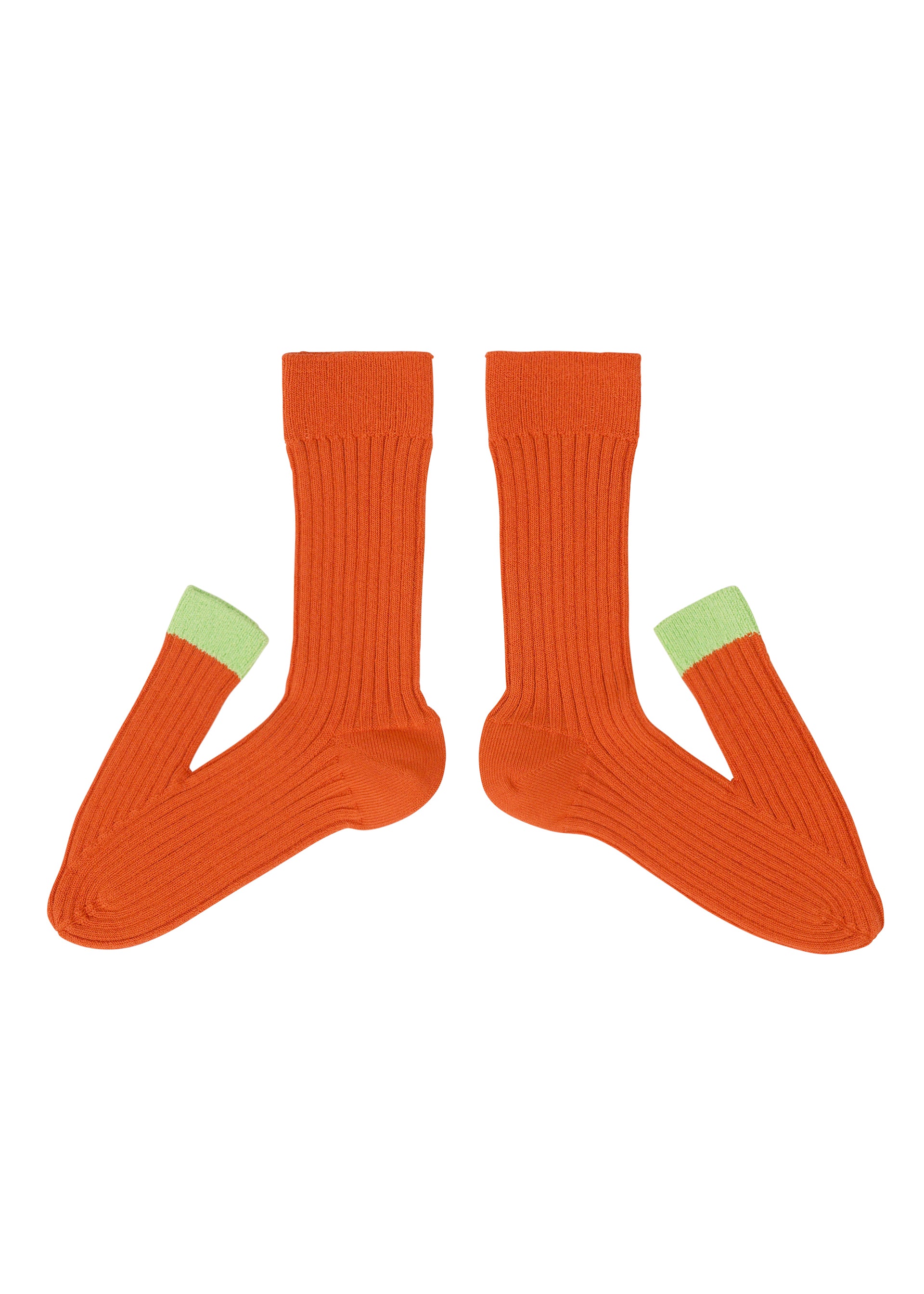 LIFE FORM SOCKS Socks Macaw Red