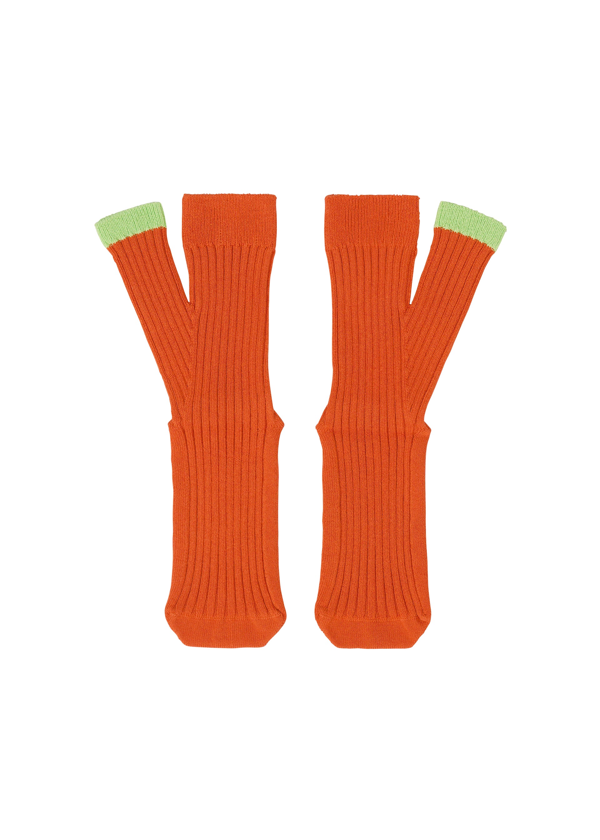 LIFE FORM SOCKS Socks Macaw Red