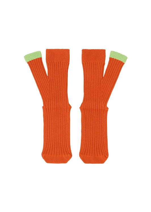 LIFE FORM SOCKS Socks Macaw Red