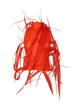 URBAN JUNGLE Top Macaw Red
